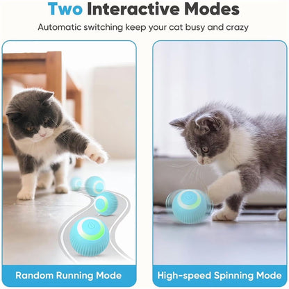 Package contents of interactive cat toy balls 2-pack with USB-C charging cable and LED balls